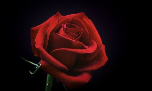 Love : Mantra for maintaining a constant energy flow