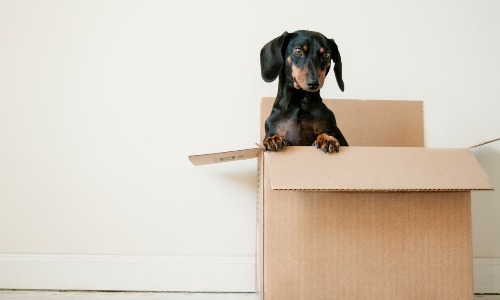 Out of box thinking helps you to succeed.