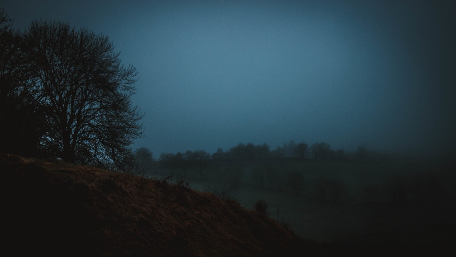 Night